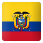Apolo Abogados